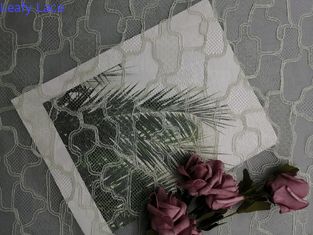 شبكة التطريز الفرنسية شانتيلي نسيج الدانتيل الهندسي