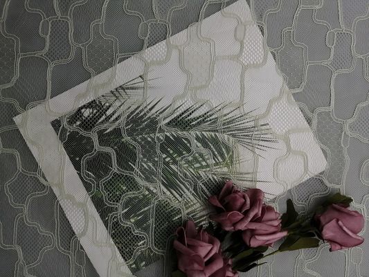شبكة التطريز الفرنسية شانتيلي نسيج الدانتيل الهندسي